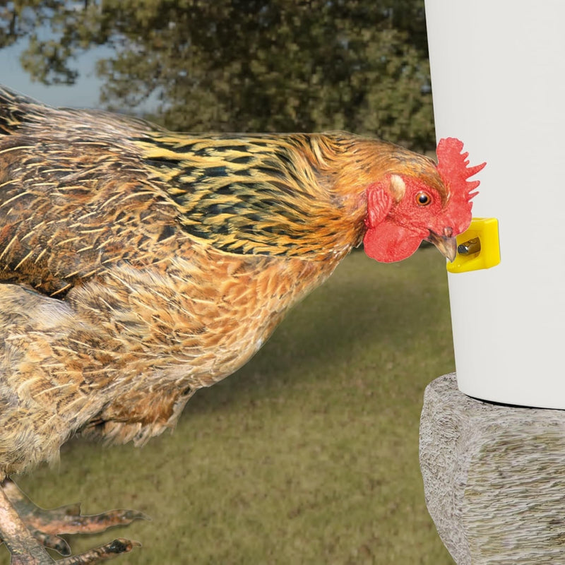 15Pcs Automatic Chicken Water Nipples Easy to Install Horizontal Poultry Waterer