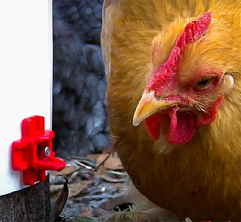 20Pcs Poultry Water Nipples Drinker Chicken Hen Quail Automatic Drinking Device