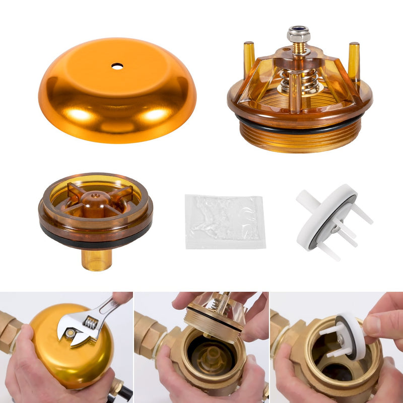 905-212 Bonnet Poppet Repair Kit & 905-052 765 EBV Canopy Kit for 1" 1-1/4