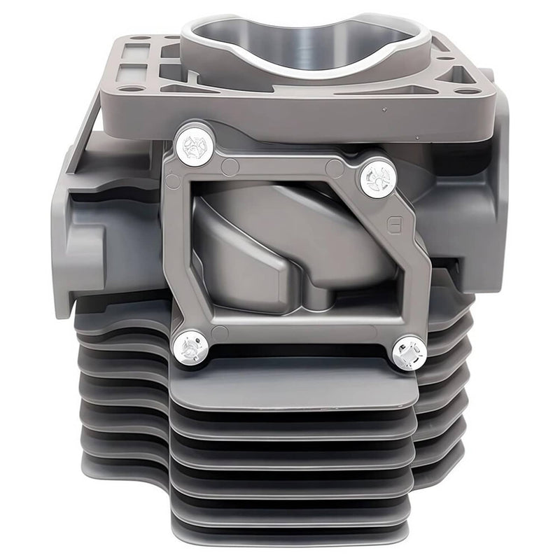 Cylinder Kit P100012460 for Echo PB-8010 PB-9010 PB-7910 P100006 P100006300