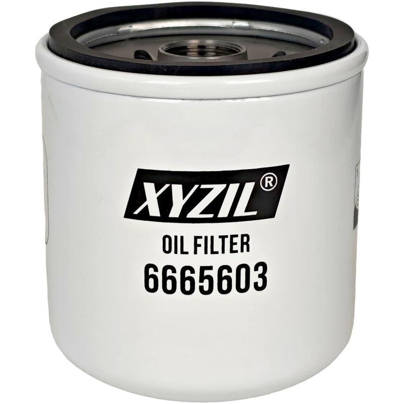 6665603 Oil Filter for Massey Ferguson 1E35 1E40 1M35 1M40 2850E 2850M