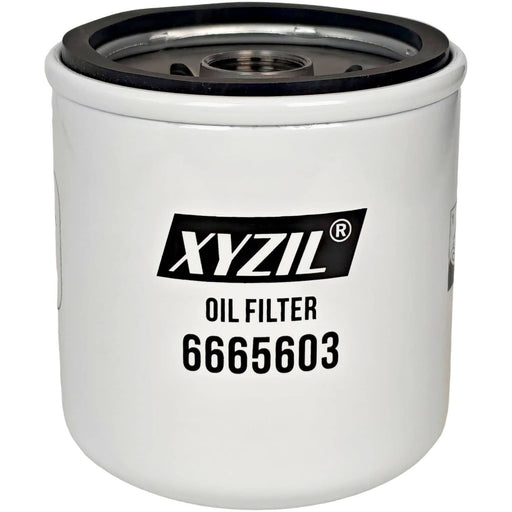 DURAFORCE 6665603 Oil Filter for Massey Ferguson 1E35 1E40 1M35 1M40 2850E 2850M