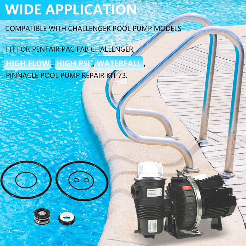Complete Pump O-Ring Rebuild Repair Kit for Pentair Challenger Pool Pump Models