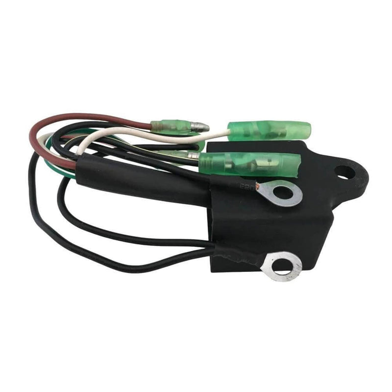 DURAFORCE 6L5-85540-M0 Boat Motor CDI Coil Assy for Yamaha Outboard 3HP 3A 2-Stroke Engine