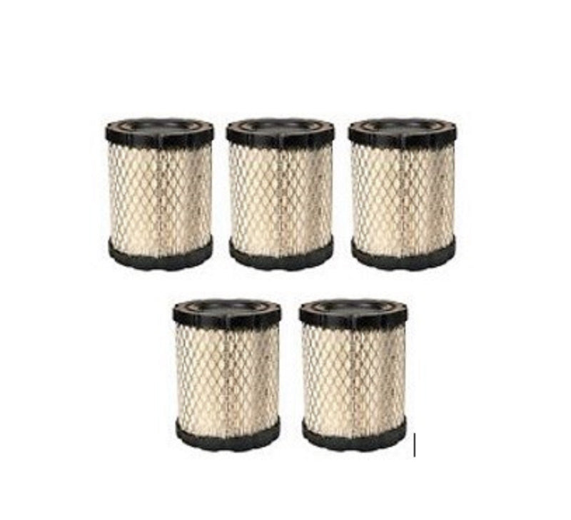 5 Air Filter for B and S 4250 798897 794935 44M977 44P977 44Q977 49L977 49M977